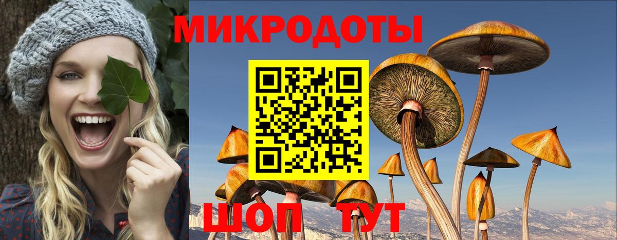 Галлюциногенные грибы Magic Shrooms Усть-Илимск