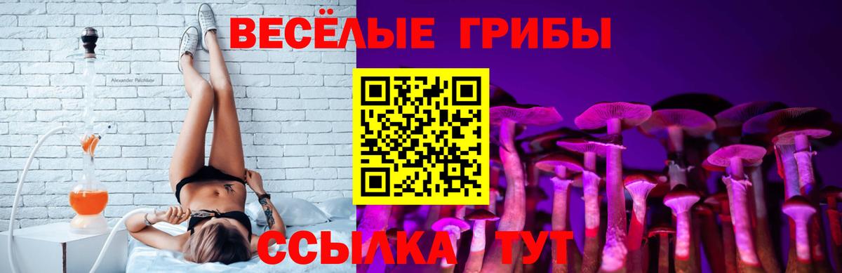 Усть-Илимск  Галлюциногенные грибы MAGIC MUSHROOMS  Галлюциногенные грибы GOLDEN TEACHER  Вход с VPN 